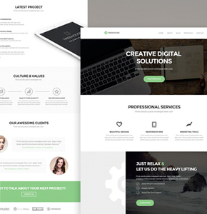 Web Design